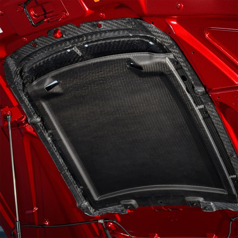 Ford Racing 20-22 Mustang GT500 Carbon Fiber Hood Vent Kit