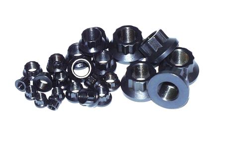 ARP 9/16in -18 12pt Nut Kit (Pack of 10)