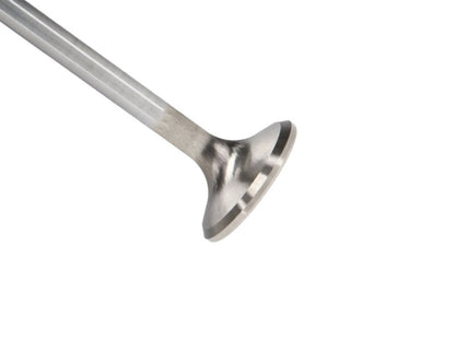 Manley Performance Manley Chevrolet LT1 6.2L 1.590in Head Diameter Race Master Exhaust Valves (Set of 8)