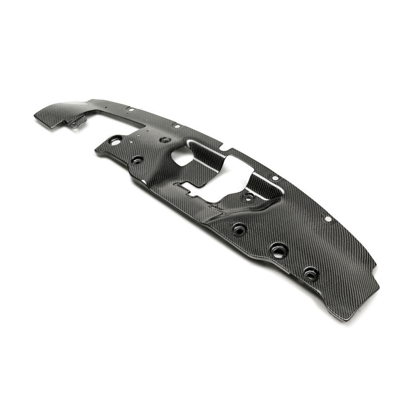 Seibon 2017-2018 Honda Civic Type-R FK8 Carbon Fiber Cooling Plate 1